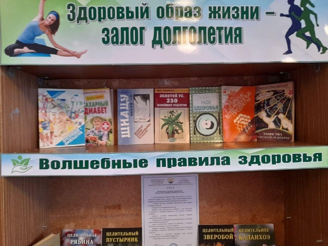 Сценарий здоровый. Выставка здоровый образ жизни. Книжная выставка здоровый образ жизни. Выставка ЗОЖ В библиотеке. Выставка о здоровом образе жизни в библиотеке.