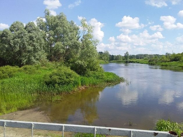 Рп5 грибановский воронежская. Большие Алабухи Грибановского района Воронежской области. Село большие Алабухи Грибановский район. Большие Алабухи Грибановского района река ворона. Река в Воронежской обл Грибановске.