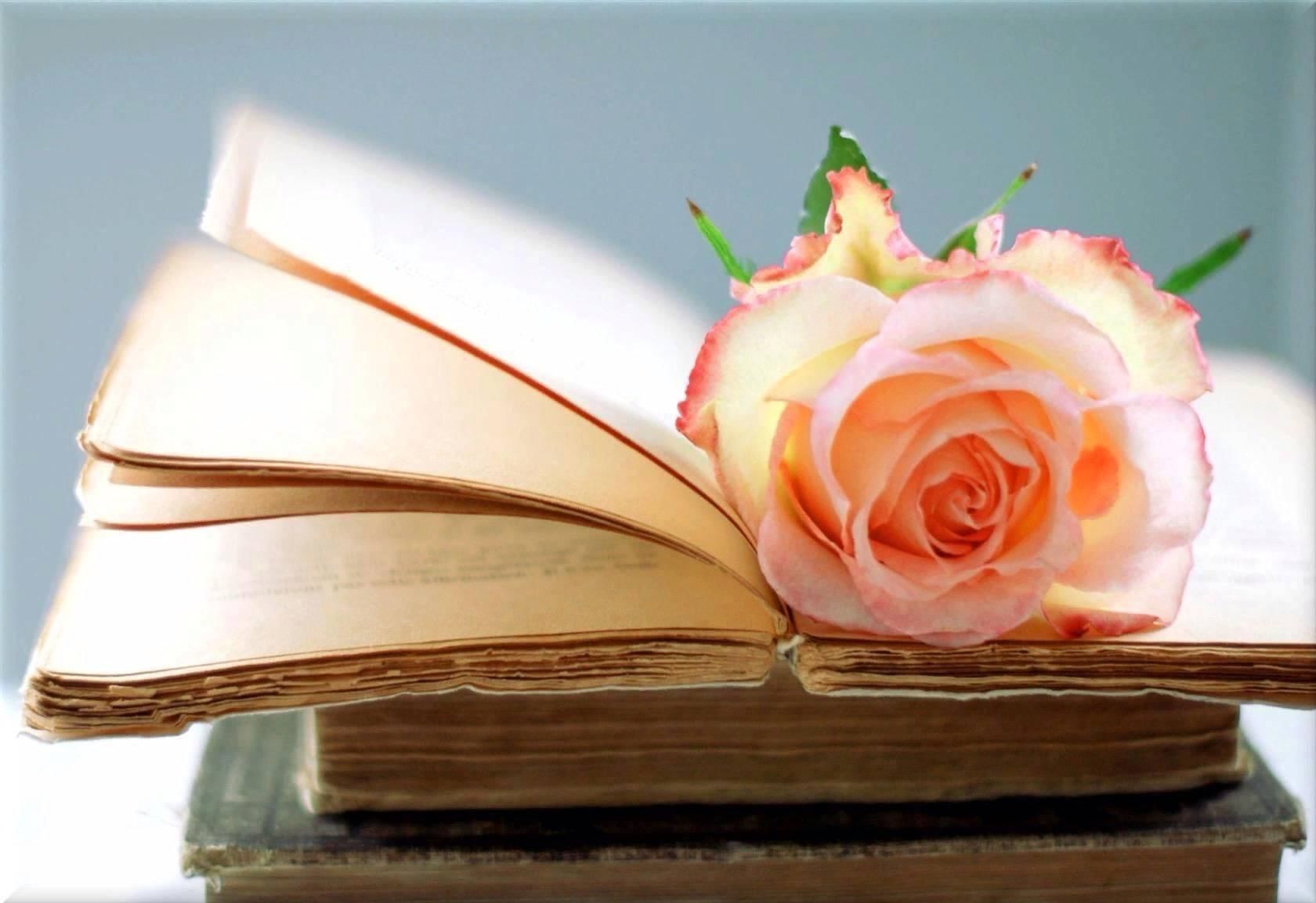 Встреча с поэзией. Книга цветы. Цветы на учительском столе. Цветы в книжке.