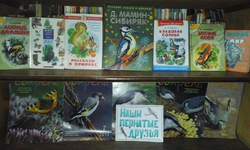 Пернатые питомцы проект