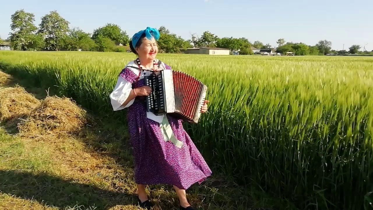 Частушки под гармонь. Гармонист в поле. Танцы под гармонь в деревне. Гармонь за околицей. Гармонист и женщины.