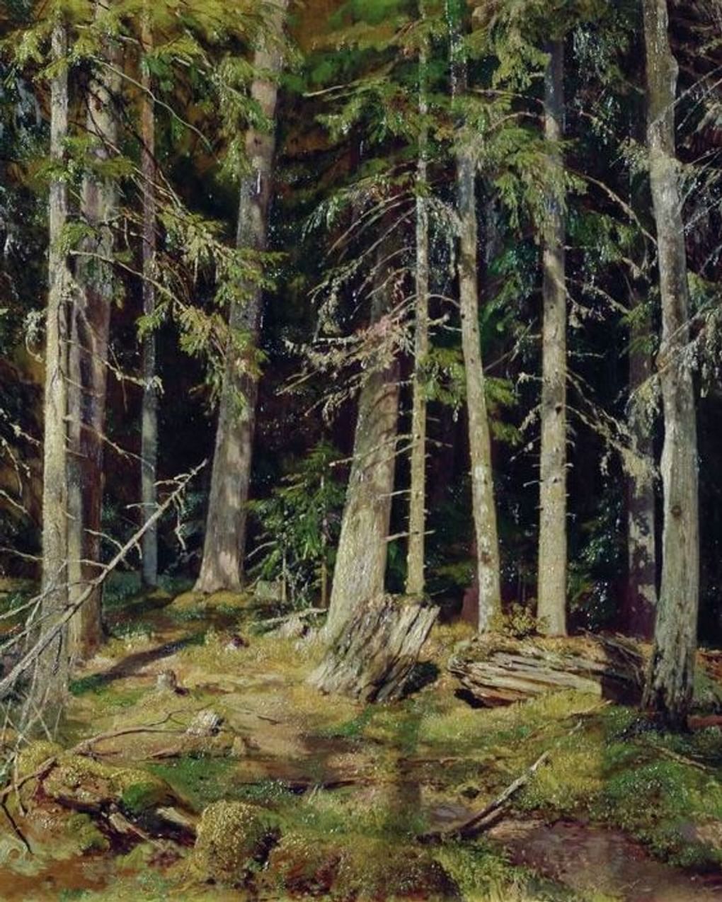 Иван Шишкин. Лес (фрагмент). 1888. Новгородский государственный объединенный музей-заповедник, Великий Новгород