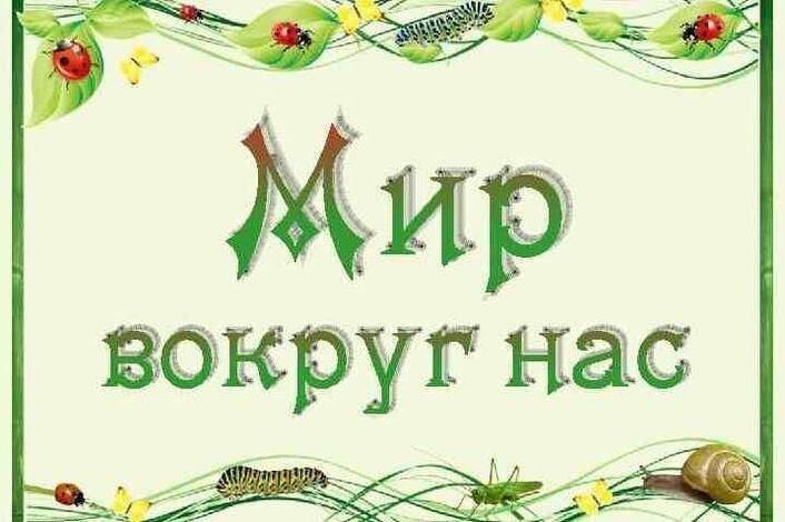 Проект на тему мир вокруг нас