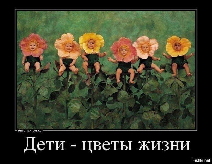 Дети цветы жизни картинки приколы