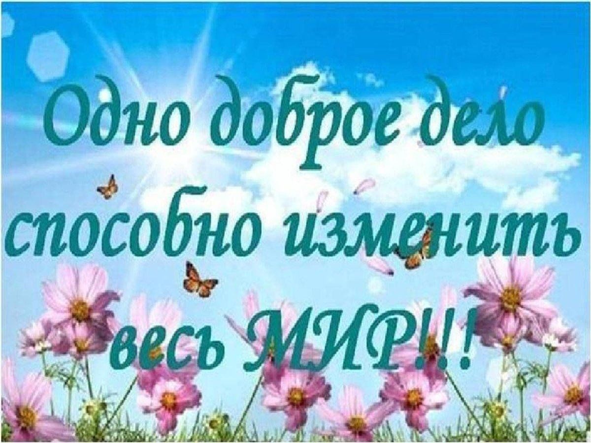Вижу добро фото